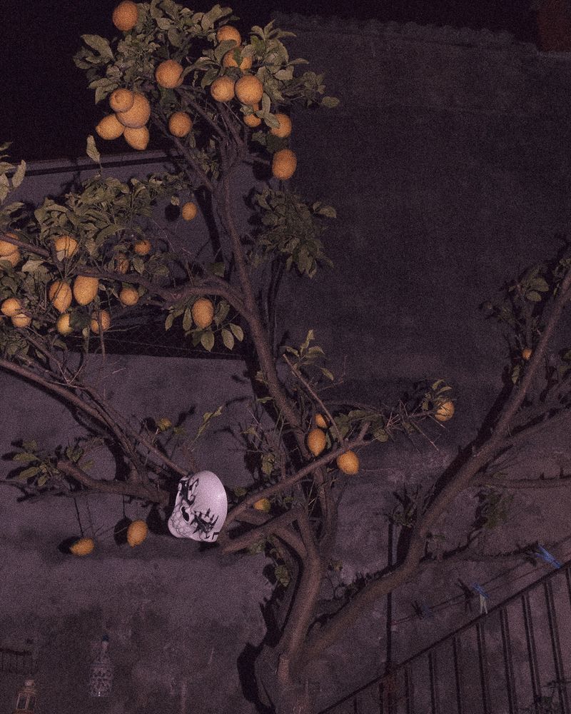 © polly hummel - Image from the Küss den Frosch photography project