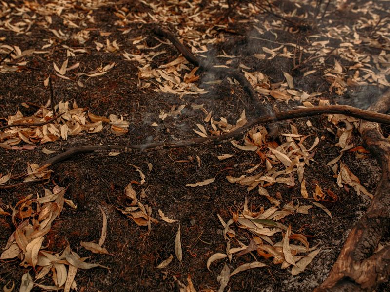 © Lisa Sorgini - Image from the The Bushfire, the Flood photography project