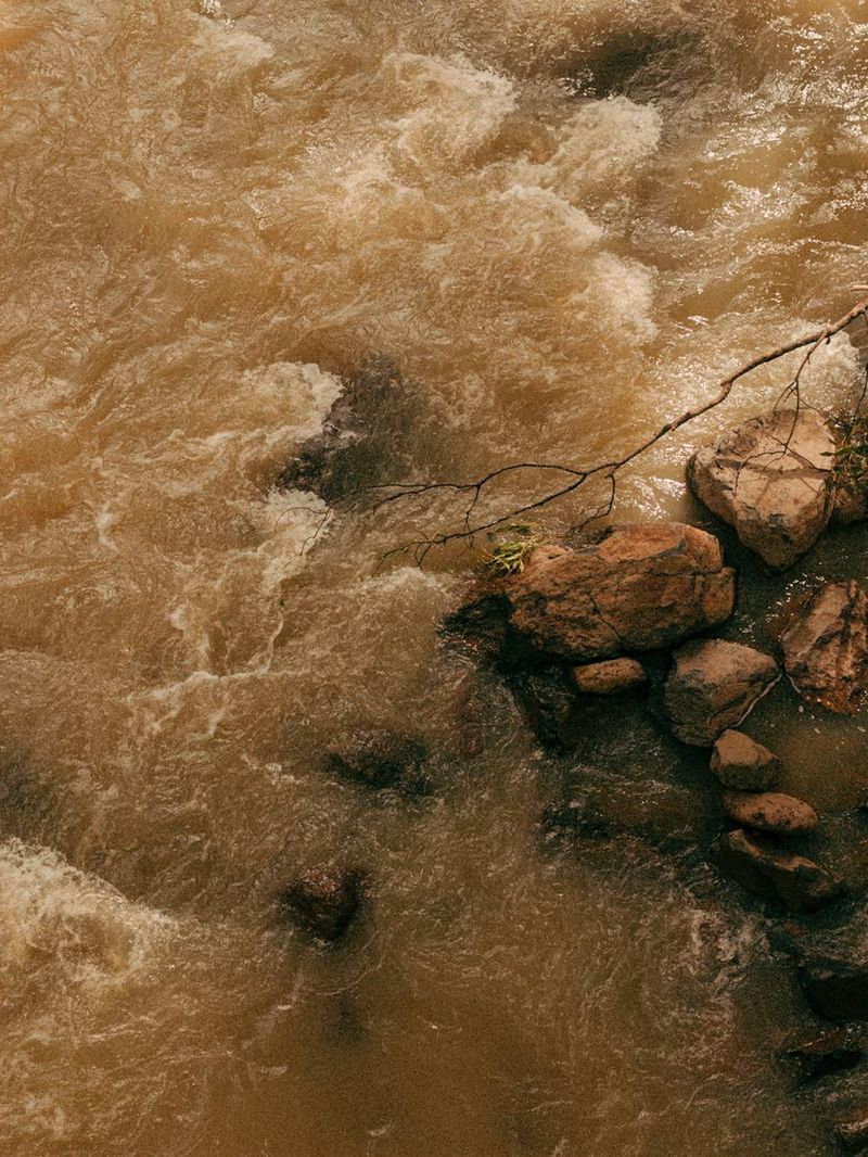 © Lisa Sorgini - Image from the The Bushfire, the Flood photography project
