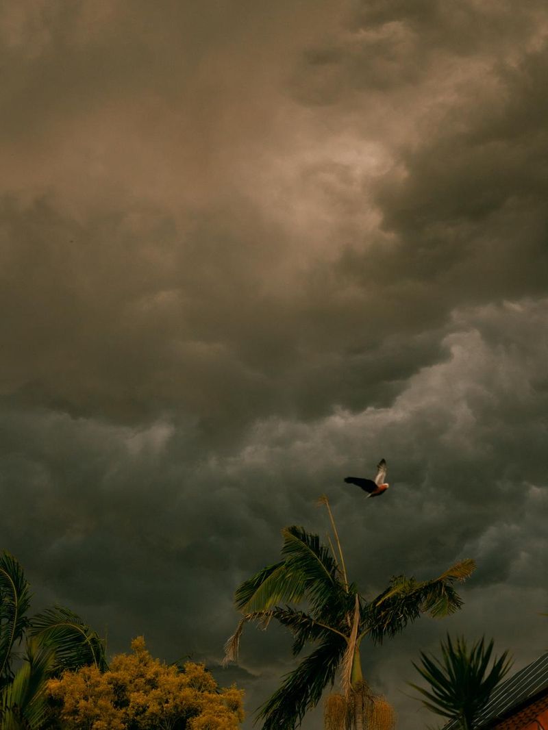 © Lisa Sorgini - Image from the The Bushfire, the Flood photography project