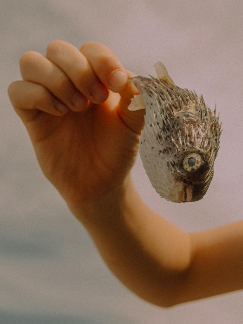 © Lisa Sorgini - Image from the The Bushfire, the Flood photography project