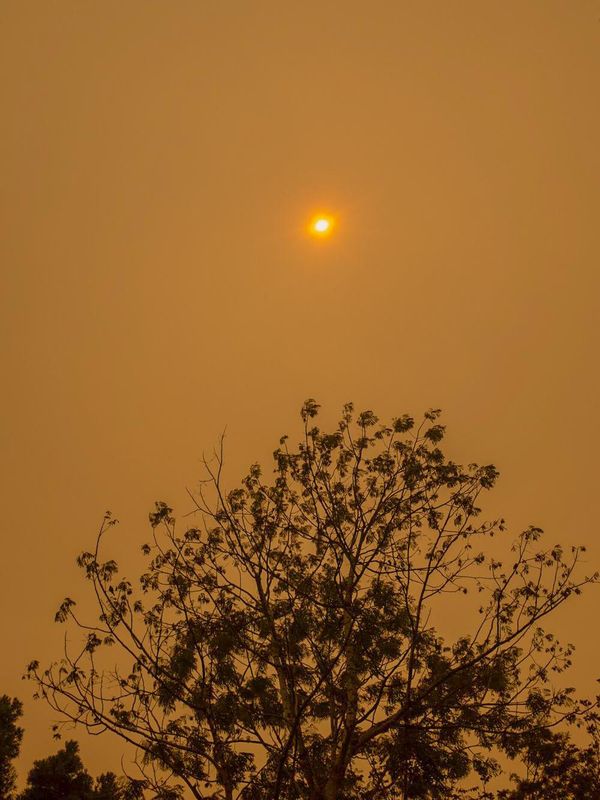 © Lisa Sorgini - Image from the The Bushfire, the Flood photography project