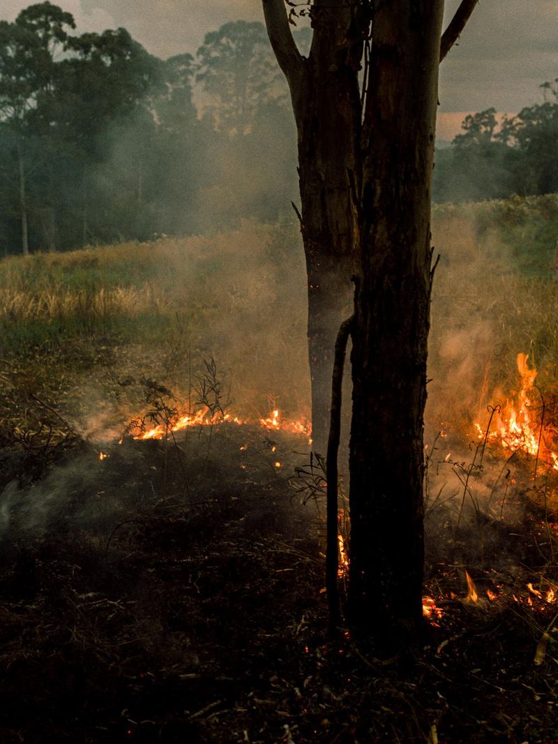 © Lisa Sorgini - Image from the The Bushfire, the Flood photography project