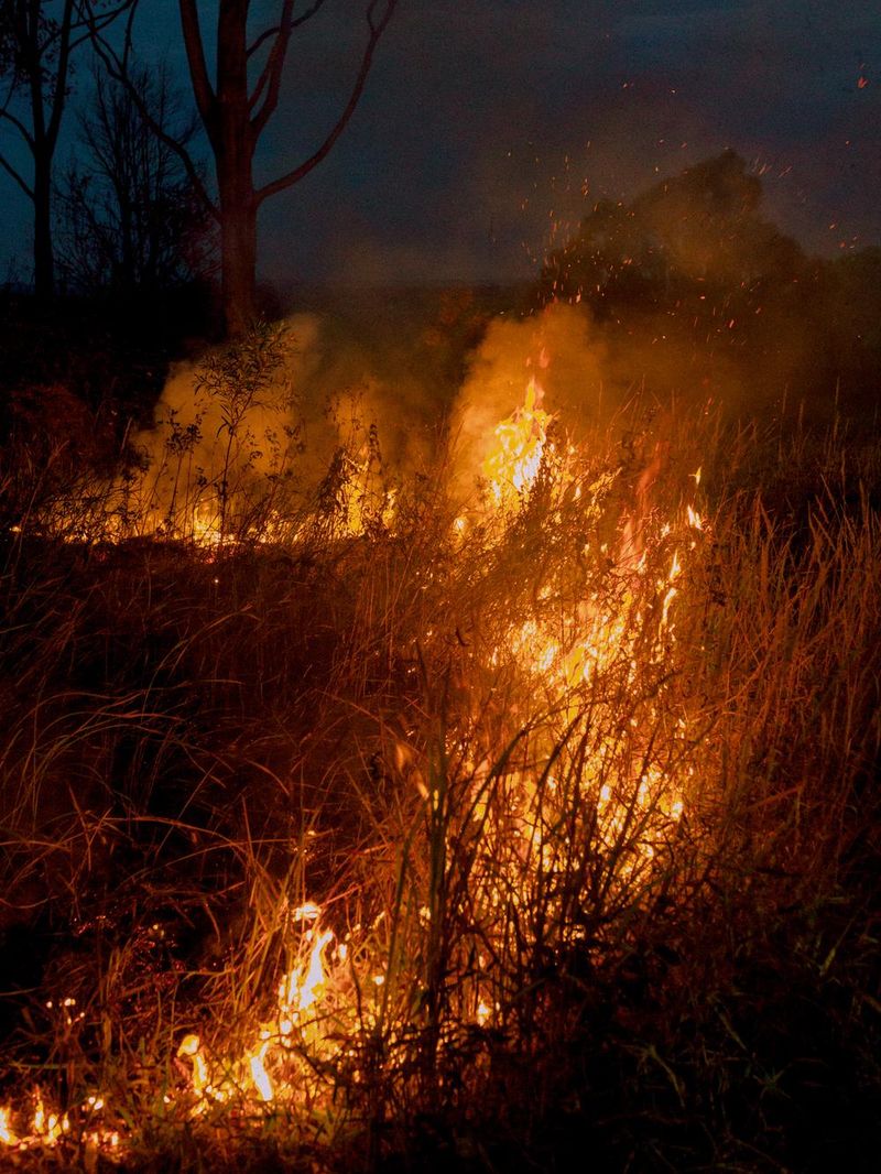© Lisa Sorgini - Image from the The Bushfire, the Flood photography project