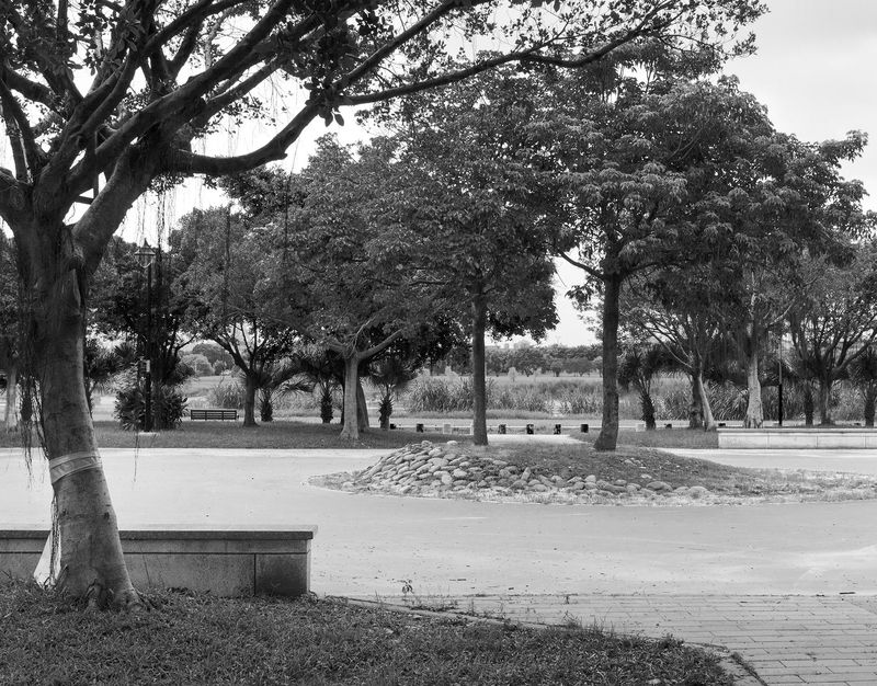 © Yun-Hsiang LIAO - Image from the Daytime and Nearest neighbor photography project