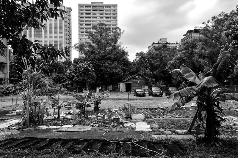 © Yun-Hsiang LIAO - Image from the Daytime and Nearest neighbor photography project