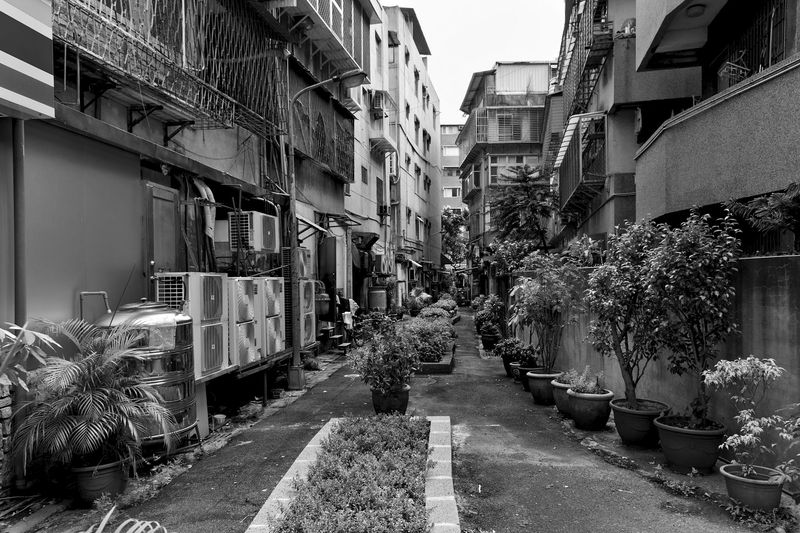 © Yun-Hsiang LIAO - Image from the Daytime and Nearest neighbor photography project