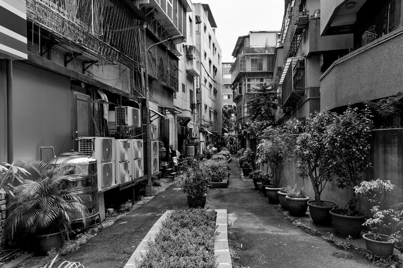 © Yun-Hsiang LIAO - Image from the Daytime and Nearest neighbor photography project