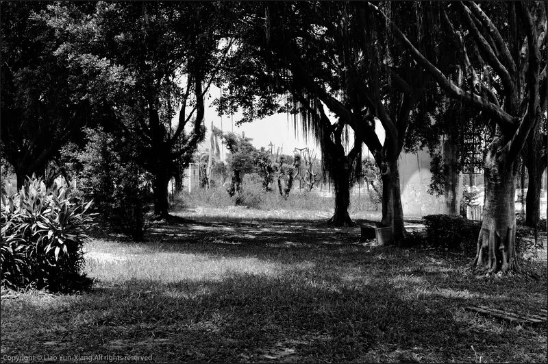 © Yun-Hsiang LIAO - Image from the Daytime and Nearest neighbor photography project