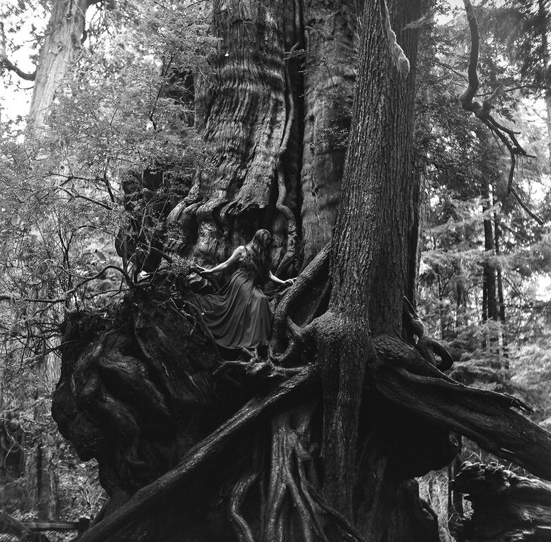 © Amanda Casey Ray - Image from the Belle Mélancolie photography project