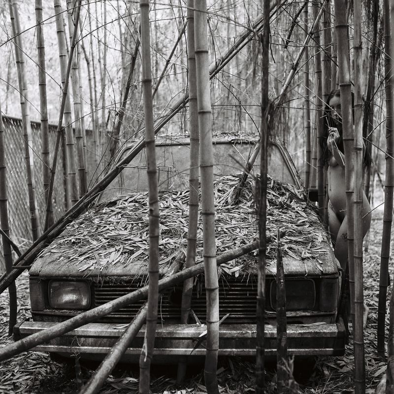 © Amanda Casey Ray - Image from the Belle Mélancolie photography project