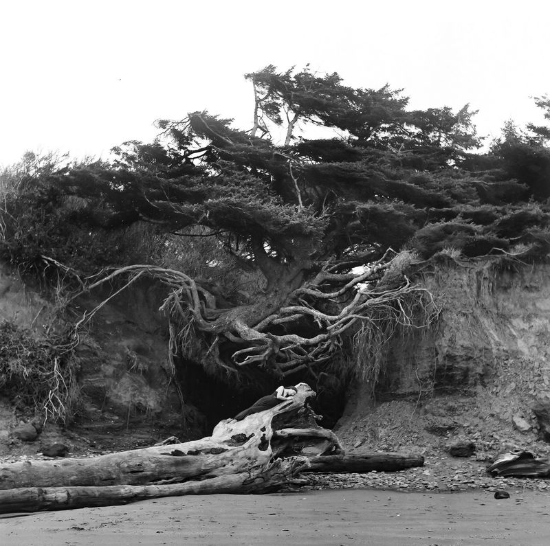 © Amanda Casey Ray - Image from the Belle Mélancolie photography project