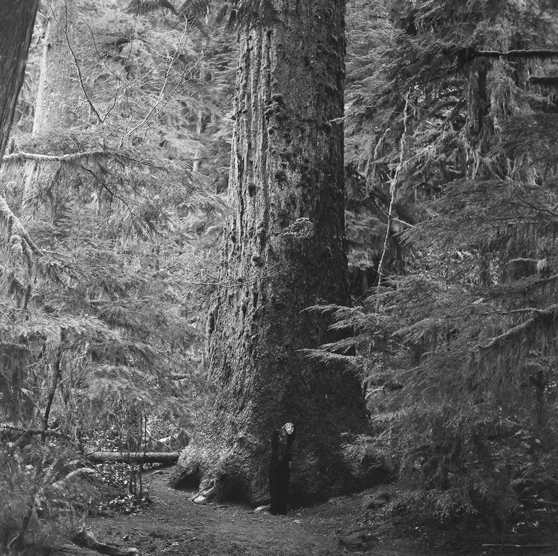 © Amanda Casey Ray - Image from the Belle Mélancolie photography project