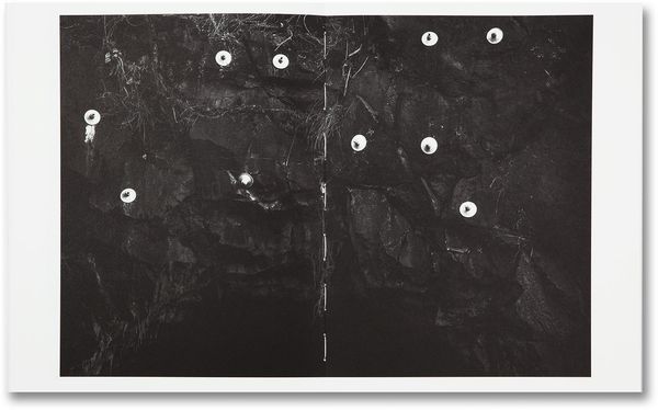 © Sofia Borges, spread from the book The Swamp