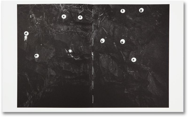 © Sofia Borges, spread from the book The Swamp
