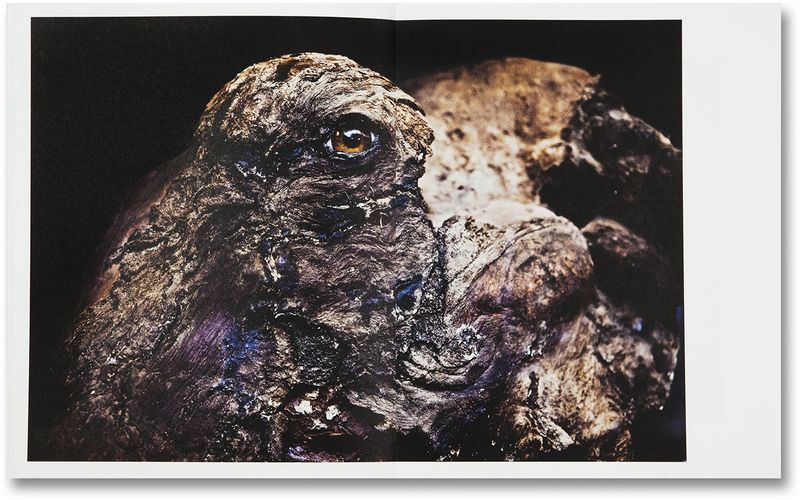 © Sofia Borges, spread from the book The Swamp
