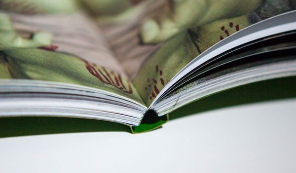 © André Penteado, from the book, Cabanagem