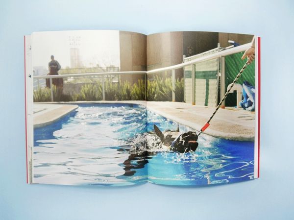 © Brenda Moreno, from the book, B to B