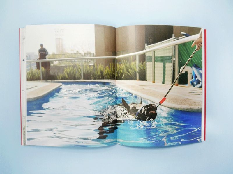 © Brenda Moreno, from the book, B to B