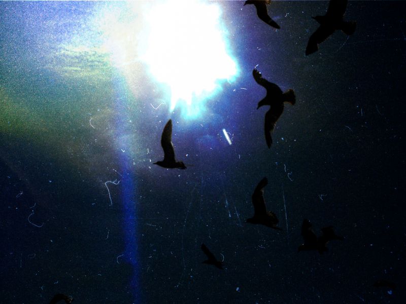 © Joel Luna Prado - Image from the El Tetas photography project