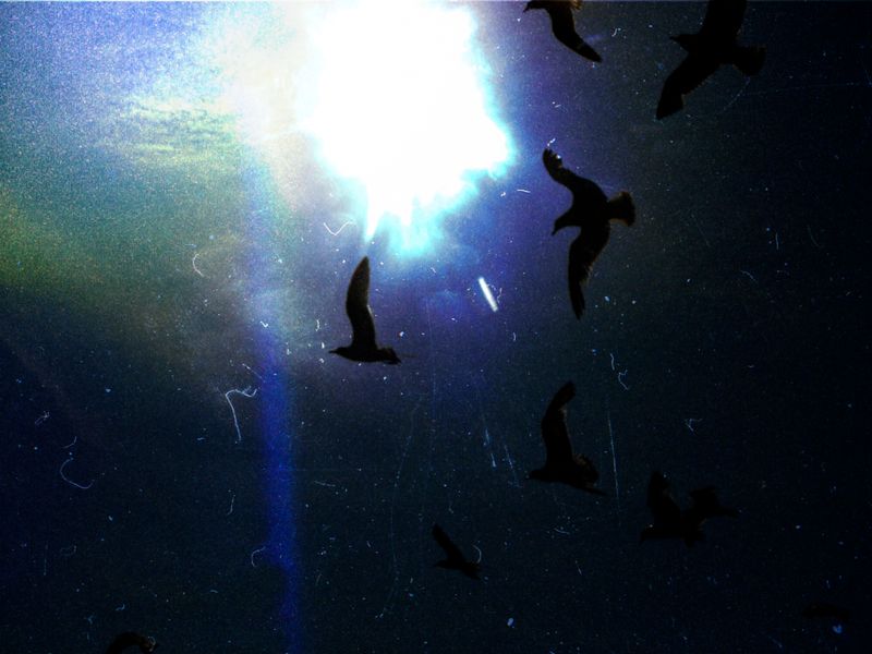 © Joel Luna Prado - Image from the El Tetas photography project