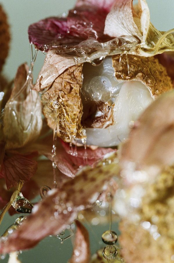 © Ludivine Keller - analogue photography
