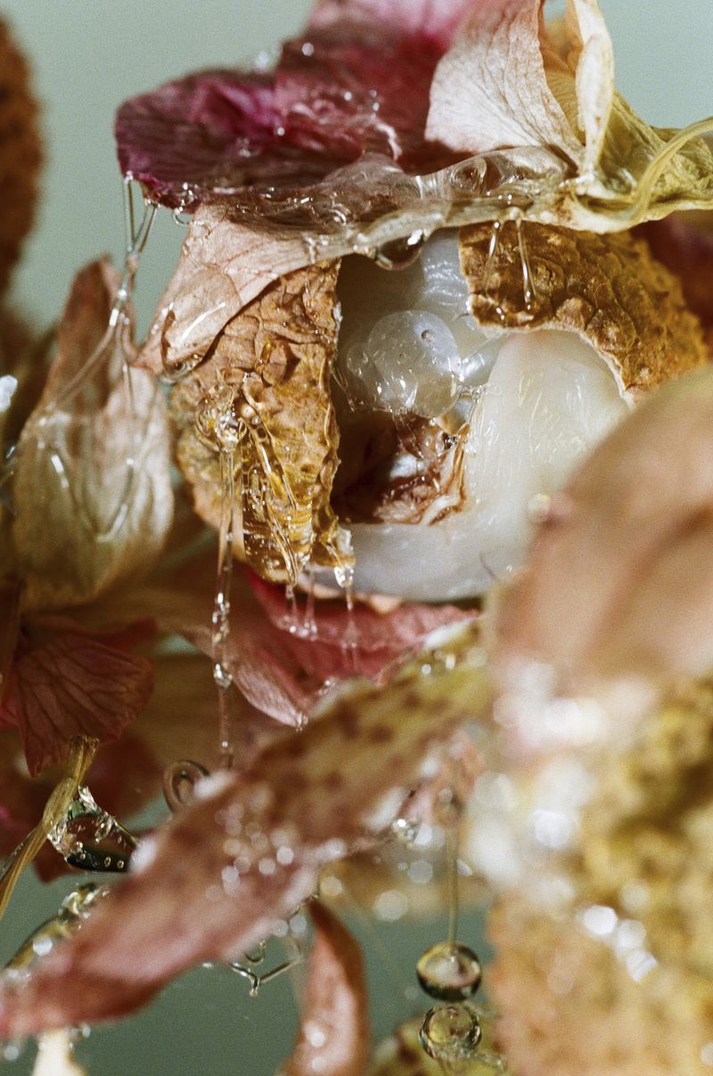 © Ludivine Keller - analogue photography