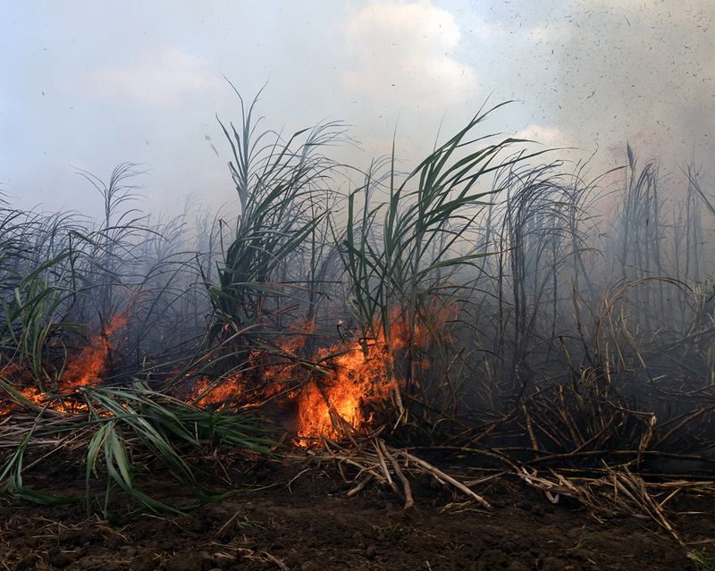 © Andrea Sarcos - A sugarcane field burning at a family's plantation near Guayaquil, Ecuador, 2021.