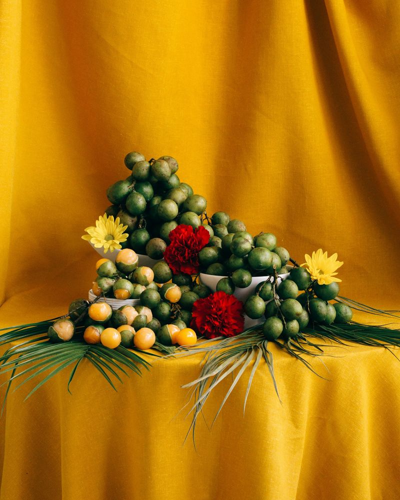 © Andrea Sarcos - Portrait of mamones, a common fruit sold on the streets of Venezuela. Florida, 2022.