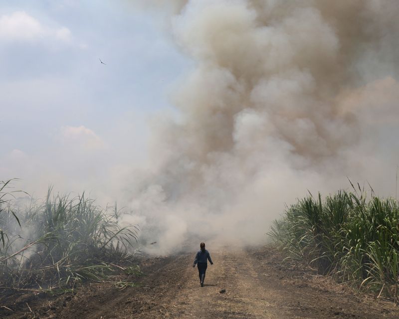 © Andrea Sarcos - Image from the Remember Me as More Than a Place photography project