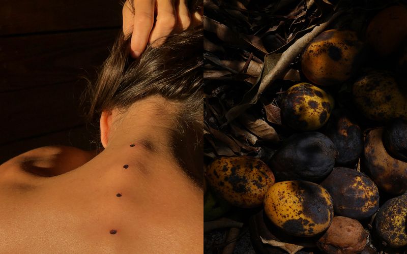© Andrea Sarcos - The back of a friend's neck in Florida and decaying Florida mangoes. Florida, 2021-2022.