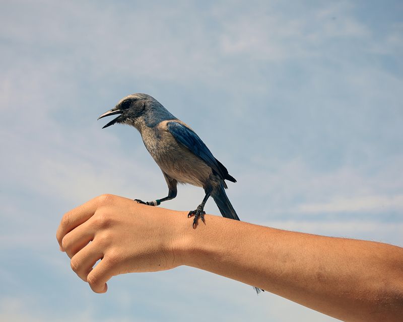 © Andrea Sarcos - Image from the Remember Me as More Than a Place photography project