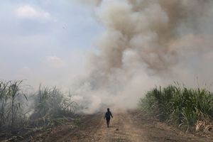 Remember Me as More Than a Place