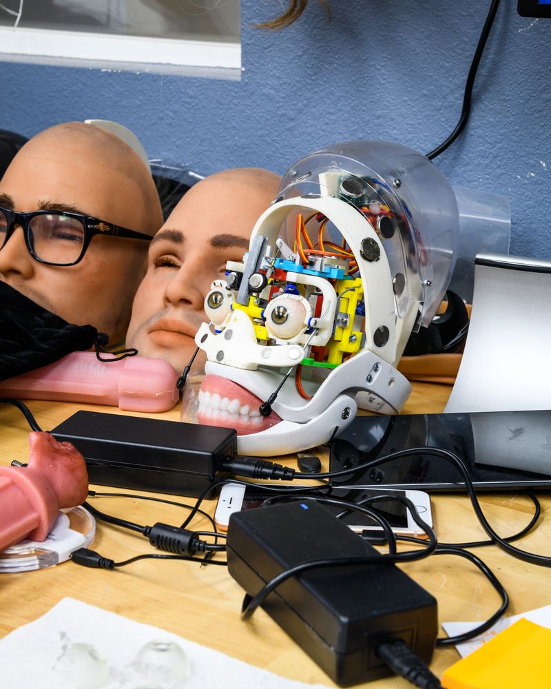 © Alastair Philip Wiper - A robotic head at the RealDoll robot workshop in San Marcos, California.
