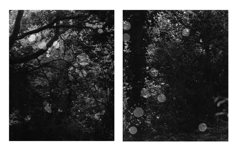 © Geyujing Shen - Tear’s symmetry, 2022
