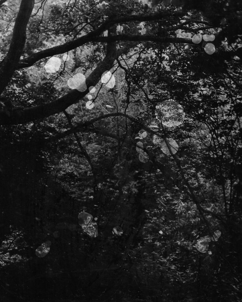 © Geyujing Shen - Tear's symmetry, 2023