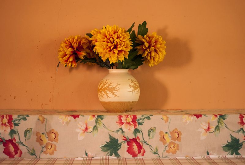 © Fernando Allen - Image from the Foto Suelta / Loose Photo photography project