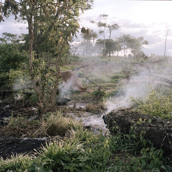 © Jordi Ruiz Cirera - Image from the The United soya republic photography project