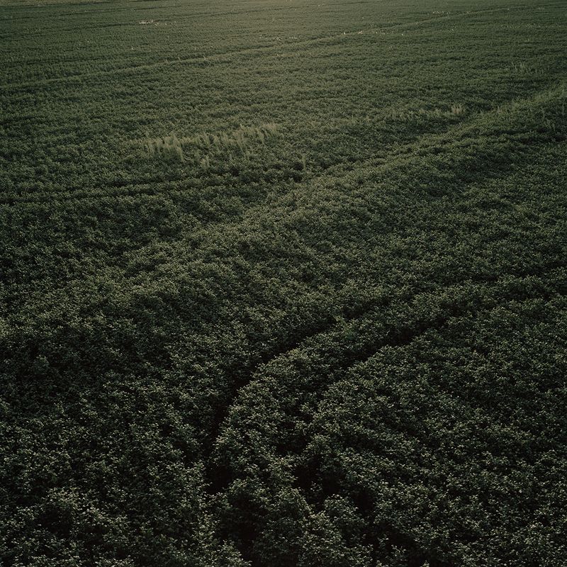 © Jordi Ruiz Cirera - Image from the The United soya republic photography project