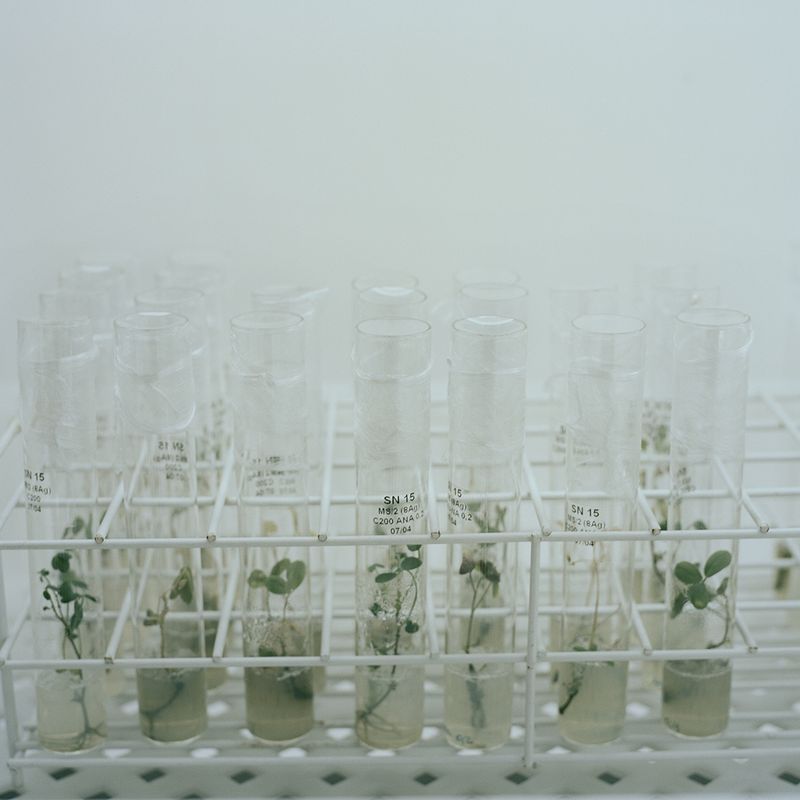 © Jordi Ruiz Cirera - Image from the The United soya republic photography project