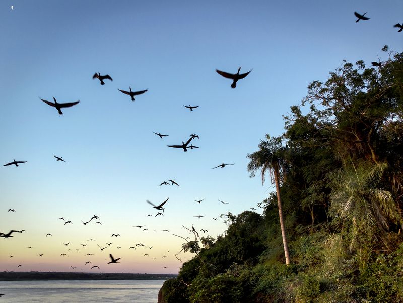 © Jorge Saenz - Image from the In The Air photography project