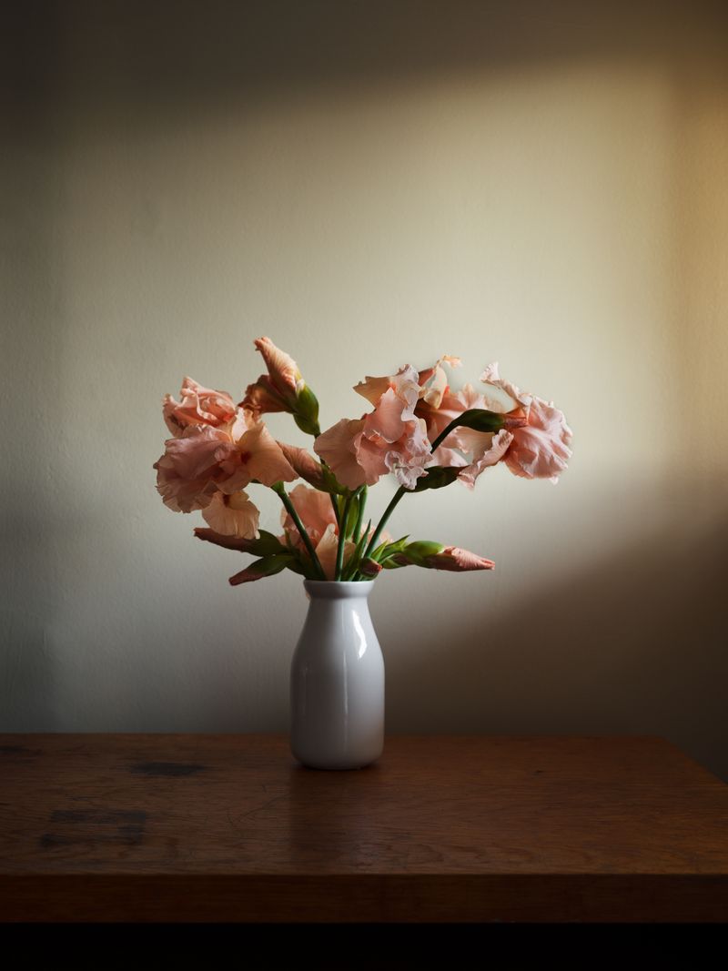 © Jess T. Dugan - Image from the Every Breath We Drew photography project