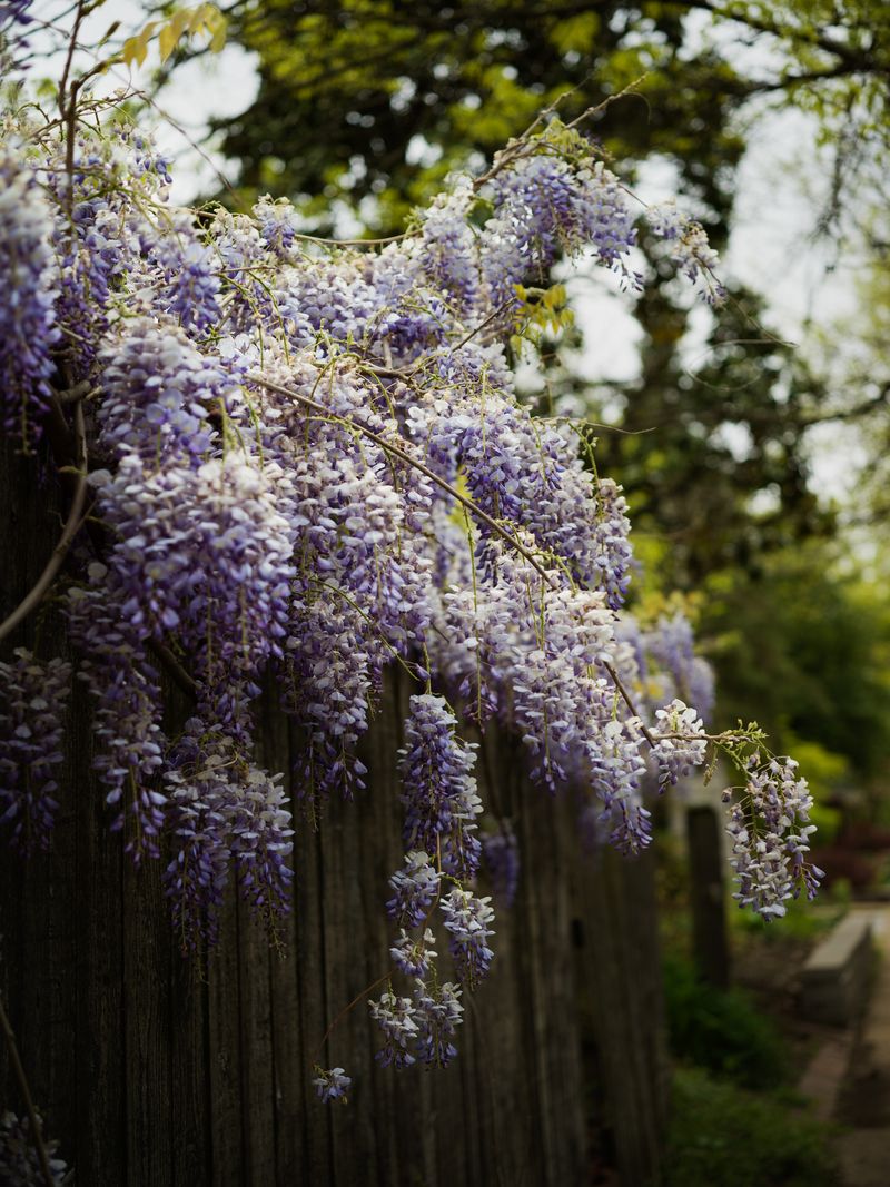 © Jess T. Dugan - Image from the Every Breath We Drew photography project