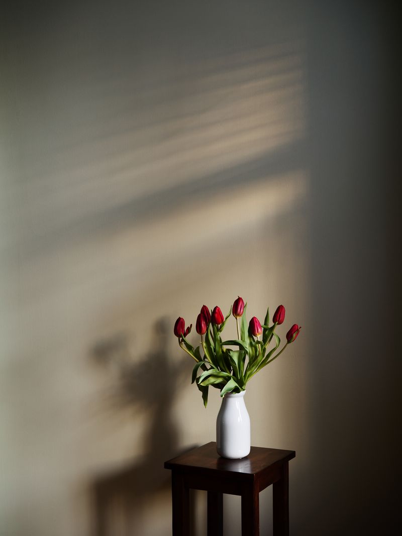 © Jess T. Dugan - Image from the Every Breath We Drew photography project