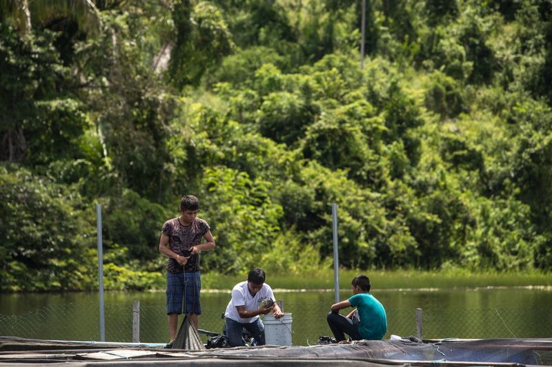 © Danny Alveal Aravena - Image from the Guatemala: in the home of the former guerrillas photography project