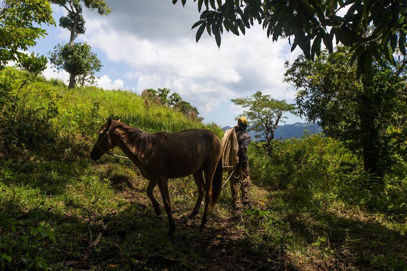 © Danny Alveal Aravena - Image from the Border comunnities photography project