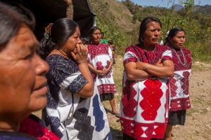 Tsotzils in Forced Displacement