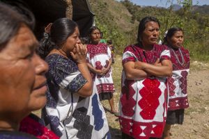 Tsotzils in Forced Displacement