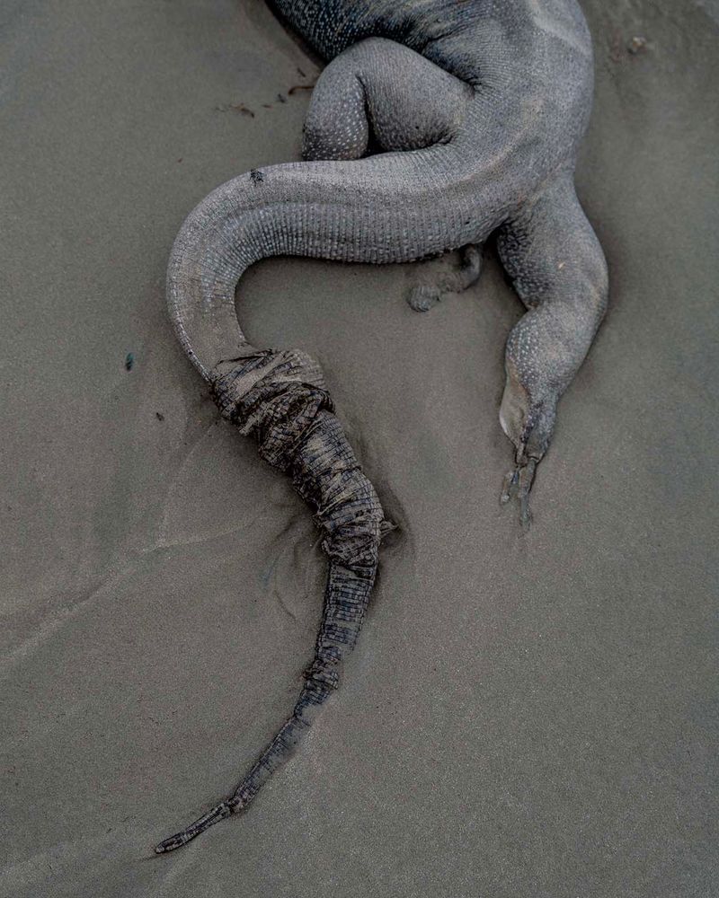 © Zsuzsa Darab - Image from the Thirtysomething photography project