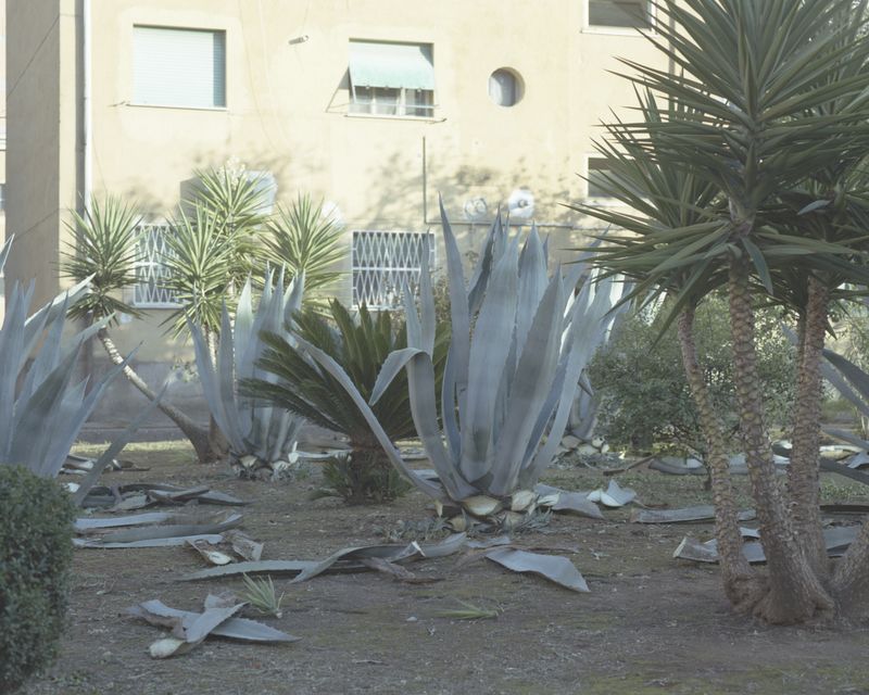 © Wiktoria Wojciechowska - Latina, Lazio, Italy.